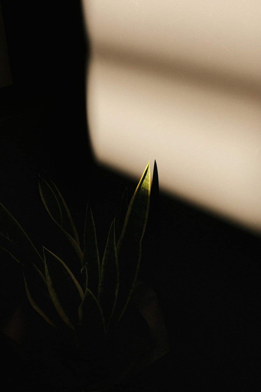 商业头条No.90